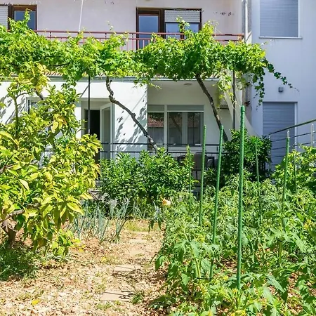 Carlissima Garden 公寓 特罗吉尔